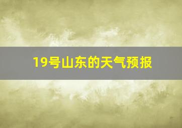 19号山东的天气预报