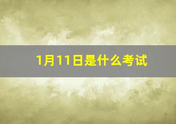 1月11日是什么考试