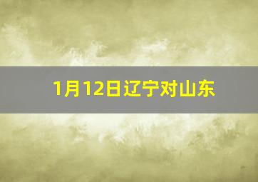 1月12日辽宁对山东