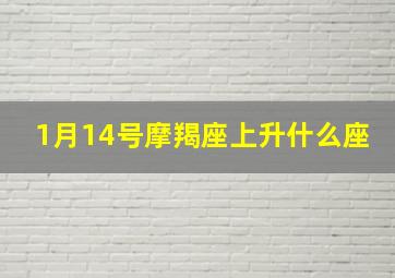 1月14号摩羯座上升什么座