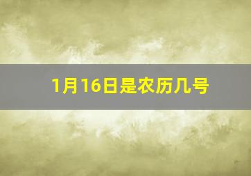 1月16日是农历几号