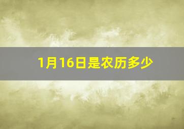 1月16日是农历多少