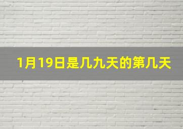 1月19日是几九天的第几天