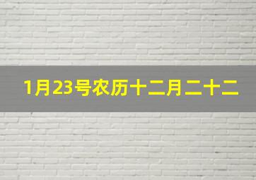 1月23号农历十二月二十二