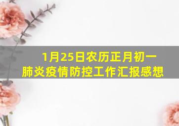 1月25日农历正月初一肺炎疫情防控工作汇报感想