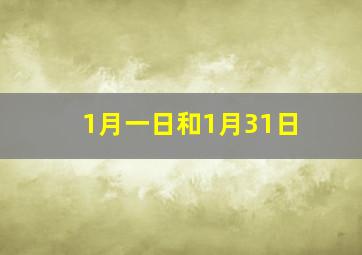 1月一日和1月31日