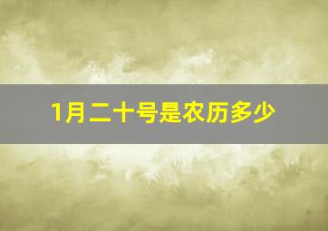 1月二十号是农历多少