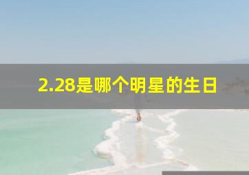 2.28是哪个明星的生日