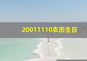 20011110农历生日