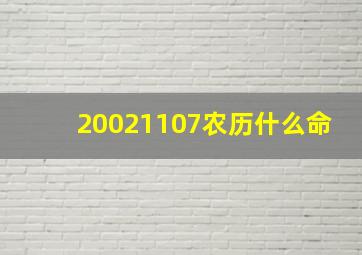 20021107农历什么命