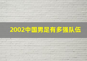 2002中国男足有多强队伍