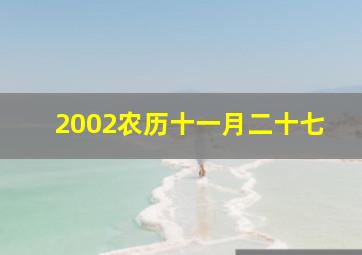 2002农历十一月二十七