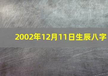 2002年12月11日生辰八字