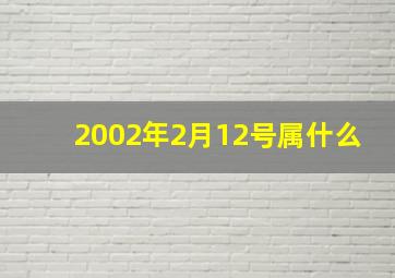 2002年2月12号属什么