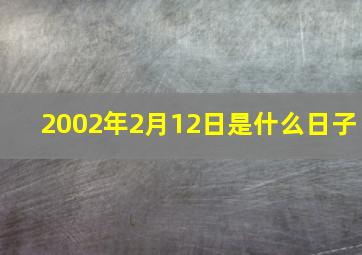 2002年2月12日是什么日子