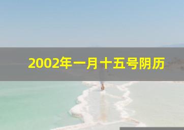 2002年一月十五号阴历