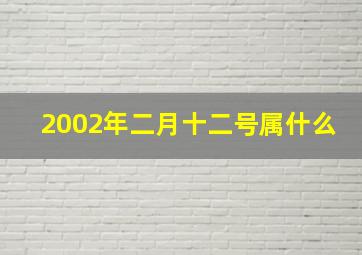 2002年二月十二号属什么