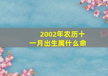 2002年农历十一月出生属什么命