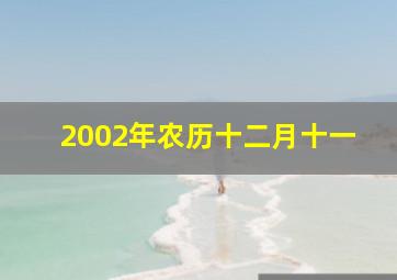 2002年农历十二月十一