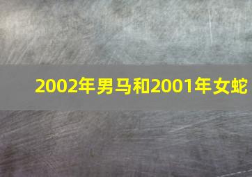 2002年男马和2001年女蛇