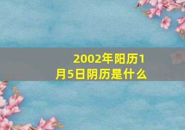 2002年阳历1月5日阴历是什么