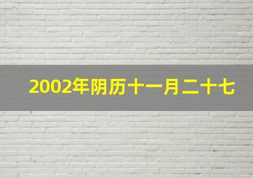 2002年阴历十一月二十七