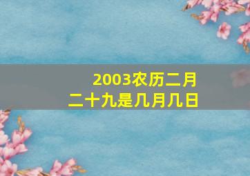 2003农历二月二十九是几月几日