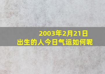 2003年2月21日出生的人今日气运如何呢