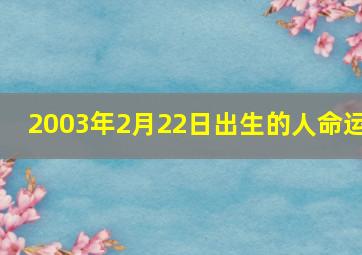 2003年2月22日出生的人命运