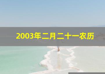 2003年二月二十一农历