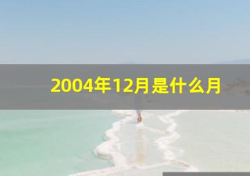 2004年12月是什么月