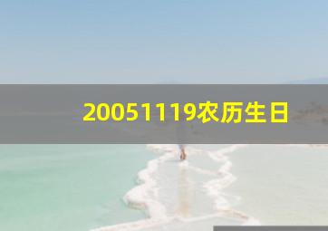 20051119农历生日