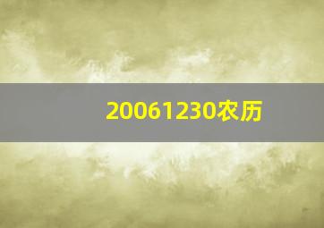 20061230农历