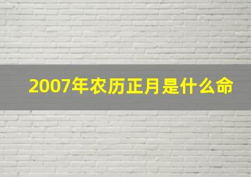 2007年农历正月是什么命