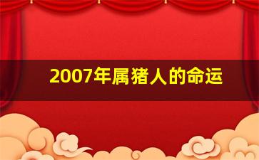 2007年属猪人的命运