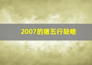 2007的猪五行缺啥