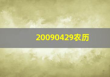 20090429农历