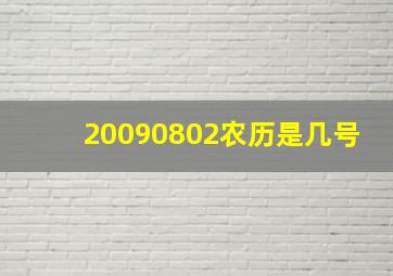 20090802农历是几号