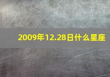 2009年12.28日什么星座