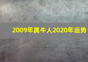 2009年属牛人2020年运势