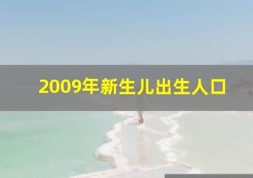 2009年新生儿出生人口