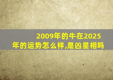 2009年的牛在2025年的运势怎么样,是凶星相吗