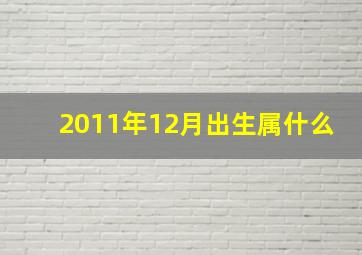 2011年12月出生属什么