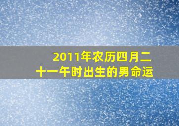 2011年农历四月二十一午时出生的男命运