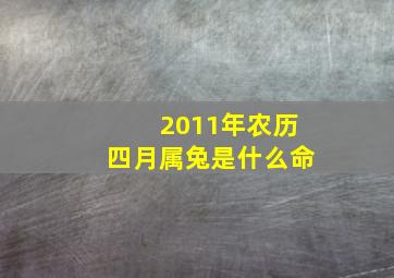 2011年农历四月属兔是什么命