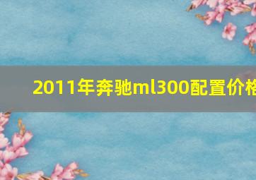 2011年奔驰ml300配置价格