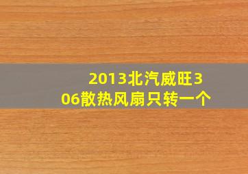 2013北汽威旺306散热风扇只转一个