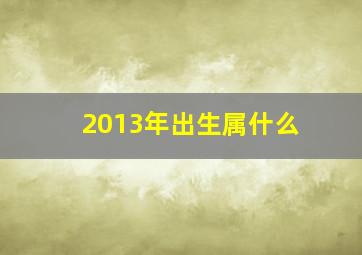 2013年出生属什么