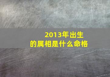 2013年出生的属相是什么命格