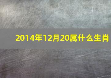 2014年12月20属什么生肖